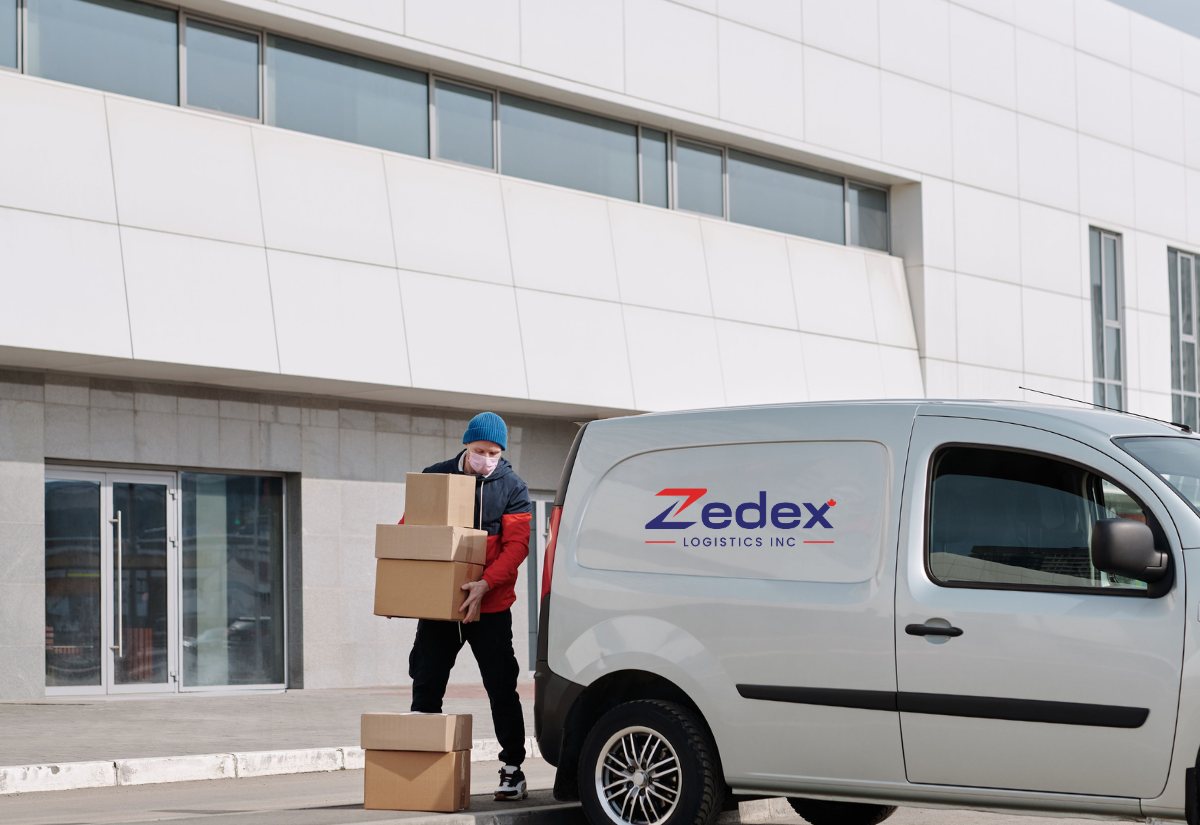 Zedex driver unloading parcels from a branded van